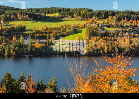 Titisee en automne, Forêt Noire, Bade-Wurtemberg, Allemagne, Titisee, Forêt noire, Bade-Wurtemberg, Allemagne Banque D'Images