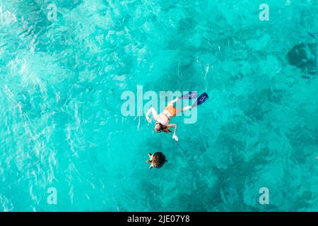 Vue hélicoptère, un tubas regarde une tortue, Lhaviyani Atoll, Maldives, Océan Indien Banque D'Images