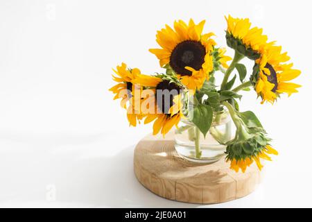 Tournesols lumineux dans un vase en verre sur fond blanc Banque D'Images