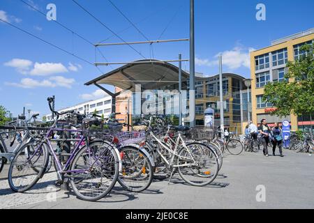 Bicyclettes, gare centrale, Potsdam, Friedrich-Engels-Strasse, Brandebourg, Allemagne Banque D'Images