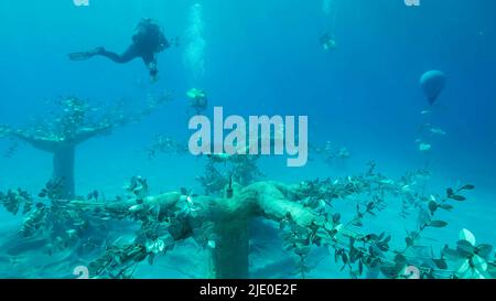 Mer Méditerranée, Chypre. 24th juin 2022. Musée de Sculpture sous-marine Ayia Napa (MUSAN). Artiste sculpteur Jason deCaires Taylor. Mer Méditerranée, Ayia Napa, Chypre (Credit image: © Andrey Nekrasov/ZUMA Press Wire) Banque D'Images