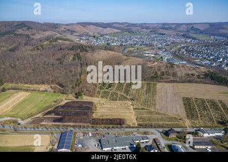 Vue aérienne, cour de bois im Neyl à Rumbeck, Arnsberg, pays aigre, Rhénanie-du-Nord-Westphalie, Allemagne, DE, Europe, photographie aérienne, photographie aérienne, o Banque D'Images