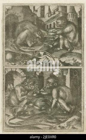 Deux scènes chacune avec deux singes enchaînés entre les ruines, deux scènes avec des singes enchaînés dans deux cadres avec des ruines antiques en arrière-plan. Dans la paire supérieure, un singe allongé avec queue à gauche est relevé sur la tête par un singe assis sans queue à droite. La paire inférieure se licite les mains de l'autre., imprimeur: Anonyme, après impression par: Israël van Meckenem, France, c. 1540 - c. 1560, papier, gravure, hauteur 170 mm × largeur 107 mm Banque D'Images