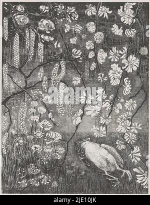 Oiseau mort, études de fleurs (titre de la série originale), oiseau mort couché dans l'herbe, entouré de différents types de fleurs., Imprimeur: Theo van Hoytema, (mentionné sur l'objet), 1904, papier, hauteur 293 mm × largeur 225 mm, hauteur 312 mm × largeur 240 mm Banque D'Images