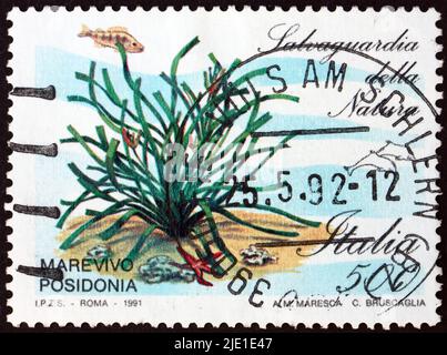 ITALIE - VERS 1991 : un timbre imprimé en Italie montre des herbiers marins, marevo posidonia, protection de la nature, vers 1991 Banque D'Images