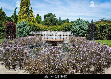 Fontaine, RHS Wisley Gardens, Surrey, Angleterre, Royaume-Uni Banque D'Images