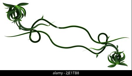 Plantes vignes vert croissant tournant interlink, 3D illustration, horizontal, isolé, sur blanc Banque D'Images