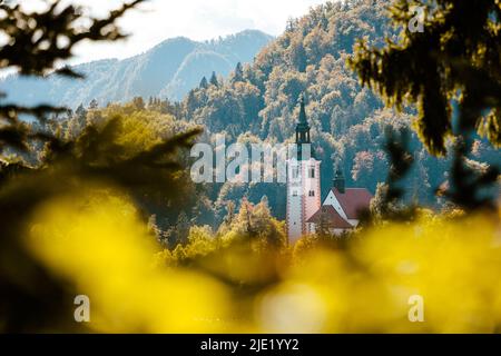 Château sur le lac de Bled, Slovénie, gros plan Banque D'Images