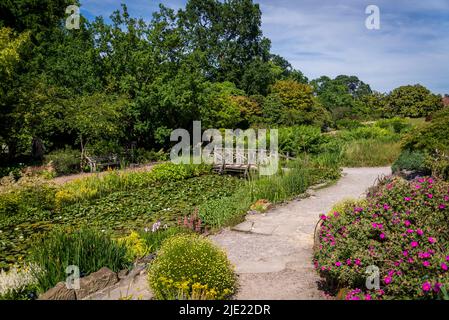 The Rock Garden, RHS Wisley Gardens, Surrey, Angleterre, Royaume-Uni Banque D'Images