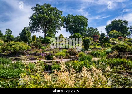 The Rock Garden, RHS Wisley Gardens, Surrey, Angleterre, Royaume-Uni Banque D'Images