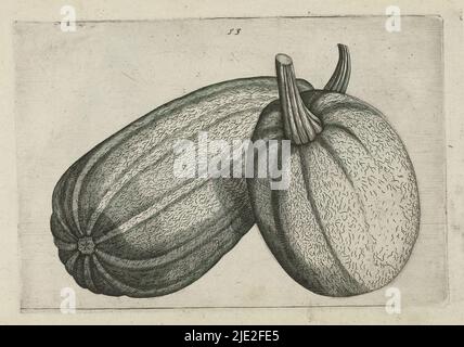Deux melons, Cognoscite lilia (titre de la série), deux melons (Cucumis melo), numérotés de 53., imprimerie: Crispijn van de passe (I), (attribué à), après dessin par: Crispijn van de passe (I), (attribué à), éditeur: Crispijn van de passe (I), éditeur: Cologne, éditeur: Londres, 1600 - 1604, papier, gravure, hauteur 127 mm × largeur 205 mm, hauteur 172 mm × largeur 272 mm Banque D'Images