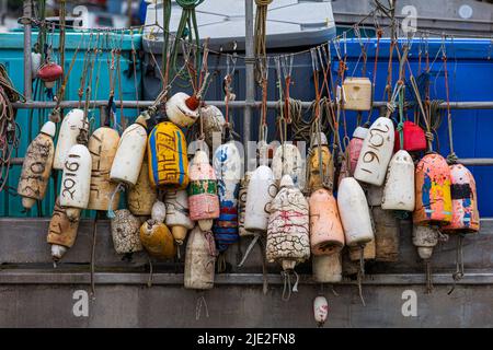 Un ensemble de crabes flottent sur le côté d'un bateau de pêche commercial à Steveston, en Colombie-Britannique, au Canada Banque D'Images