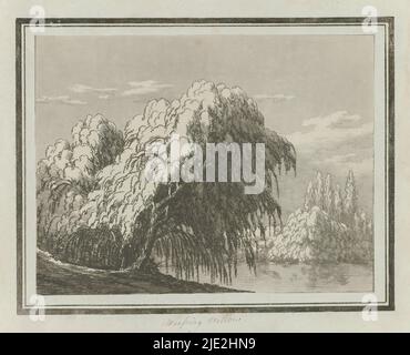 Weeping saule, Imprimer de l'album en cassette avec quatorze études en vernis mou et aquatint de différents types d'arbres., imprimeur: John Robert Cozens, (mentionné sur l'objet), Londres, 1789, papier, hauteur 240 mm × largeur 315 mm Banque D'Images