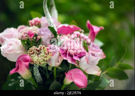 Bouquet de roses et de nénuphars de cala Banque D'Images