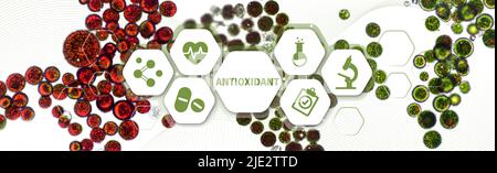 Source antioxydante naturelle Haematococcus pluvialis. Riche en astaxanthine, caroténoïdes et antioxydants. Algues vertes et kystes sous vue microscopique - h Banque D'Images