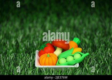 Modèle miniature d'arrangement de légumes colorés sur une assiette blanche Banque D'Images