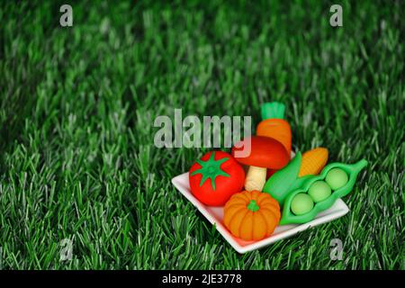 Modèle miniature d'arrangement de légumes colorés sur une assiette blanche Banque D'Images