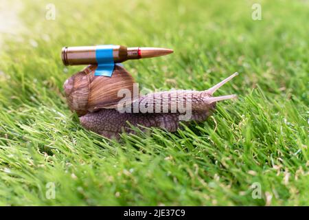 Bataille ukrainienne escargot avec des armures de prêt-bail en mission Banque D'Images