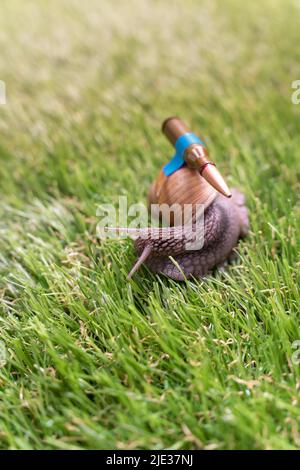 Bataille ukrainienne escargot avec des armures de prêt-bail en mission Banque D'Images