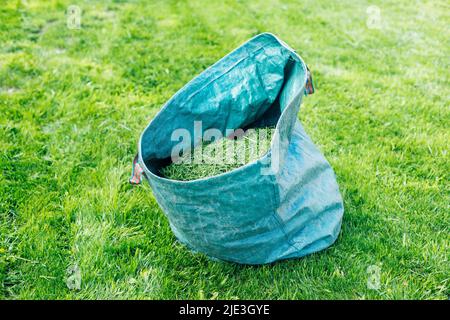 Herbe fraîche et naturelle coupée dans un sac bleu avec râteau sur une pelouse verte. Préparation du futur compost, engrais écologique. Recyclage Banque D'Images