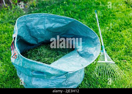 Herbe fraîche et naturelle coupée dans un sac bleu avec râteau sur une pelouse verte. Préparation du futur compost, engrais écologique. Recyclage Banque D'Images