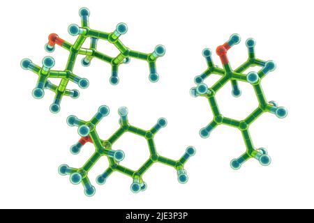 Molécule de Terpinen-4-ol, illustration. Un composé organique naturellement présent dans l'huile d'arbre à thé, l'huile de lavande, l'huile de thym et d'autres huiles essentielles, a des propriétés antiseptiques. Banque D'Images