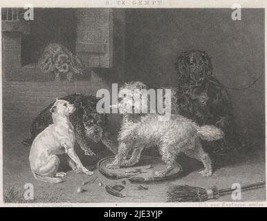 Plusieurs chiens près d'un mur, Christiaan Lodewijk van Kesteren, après Bernard te Gempt, 1886 - 1897, six chiens devant une maison. Le cavalier King Charles est dans la fenêtre et au milieu est un chien blanc sur un plateau, imprimerie: Christiaan Lodewijk van Kesteren, (mentionné sur l'objet), Bernard te Gempt, (mentionné sur l'objet), éditeur: H.J. van Kesteren, (mentionné sur l'objet), Amsterdam, 1886 - 1897, papier, gravure, gravure, h 108 mm × l 184 mm Banque D'Images