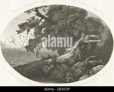 Tronc d'arbre déraciné sur la rive, Pierre Louis Dubourcq, 1856 ans, sur la rive d'un lac se trouve un tronc d'arbre déraciné. De l'autre côté se trouvent des sommets enneigés. Autour de l'image est un verset de Petrarch sur la transition de la nature, en italien et néerlandais., imprimerie: Pierre Louis Dubourcq, (mentionné sur l'objet), éditeur: Frans Buffa en Zonen, (mentionné sur l'objet), imprimerie: Pays-Bas, éditeur: Amsterdam, 1856, papier, gravure, pointe sèche, h 210 mm × l 266 mm Banque D'Images