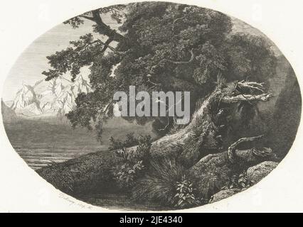 Tronc d'arbre déraciné sur la rive, Pierre Louis Dubourcq, 1854 - 1856, sur la rive d'un lac se trouve un tronc d'arbre déraciné. On peut voir des sommets enneigés sur la rive opposée., imprimerie: Pierre Louis Dubourcq, (mentionné sur l'objet), pays-Bas, 1854 - 1856, papier, gravure, point sec, h 208 mm × l 300 mm Banque D'Images