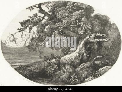Tronc d'arbre déraciné sur la rive, Pierre Louis Dubourcq, 1854 ans, sur la rive d'un lac se trouve un tronc d'arbre déraciné. On peut voir des sommets enneigés sur la rive opposée., imprimeur: Pierre Louis Dubourcq, (mentionné sur l'objet), pays-Bas, 1854, papier, gravure, point sec, h 205 mm × l 265 mm Banque D'Images