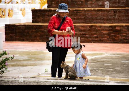 Thai petits enfants mignons fille marcher et jouer avec le chat après le voyage visite priant bouddha avec grand-mère et la famille de parents de Wat Phra Kaew temple à Banque D'Images