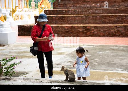 Thai petits enfants mignons fille marcher et jouer avec le chat après le voyage visite priant bouddha avec grand-mère et la famille de parents de Wat Phra Kaew temple à Banque D'Images