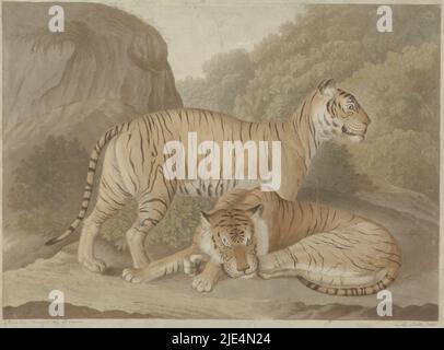 Deux tigres dans un paysage, imprimeuse: A. Lutz, (mentionné sur l'objet), dessinateur intermédiaire: Isaac van Haastert, (mentionné sur l'objet), la Haye, 1809 - 1822, papier, brosse, h 297 mm × l 398 mm Banque D'Images