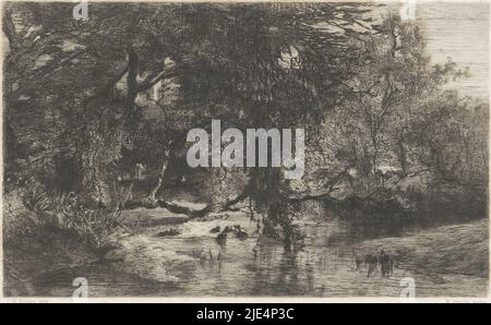 Paysage forestier avec eau en premier plan, arbres le long du front de mer, imprimerie: Willem Steelink (I), (mentionné sur l'objet), après: Johannes Warnardus Bilders, (mentionné sur l'objet), Amsterdam, 1836 - 1913, papier, gravure, h 154 mm × l 238 mm Banque D'Images