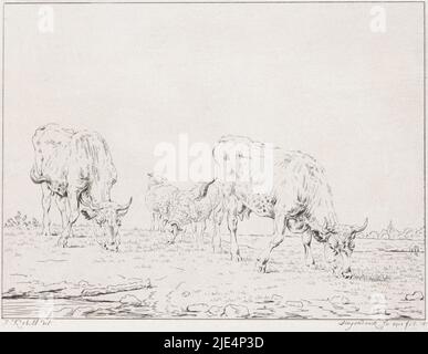 Deux vaches en pâturage dans un paysage de prairie. Entre un bélier et une brebis, pâturage des vaches, imprimerie: Diederik Jan Singendonck, (mentionné sur l'objet), Jan Kobell, (mentionné sur l'objet), Utrecht, 1814, papier, gravure, h 178 mm × l 212 mm Banque D'Images