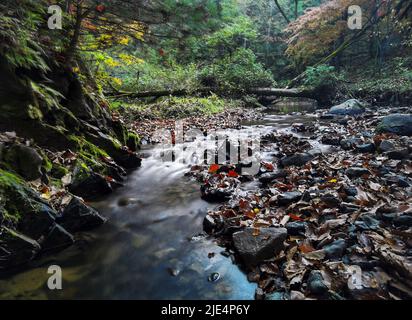 Jilin baishan Jingyu comté FuSong en automne Banque D'Images