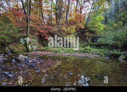 Jilin baishan Jingyu comté FuSong en automne Banque D'Images