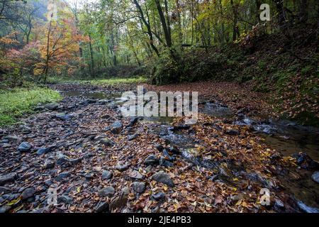 Jilin baishan Jingyu comté FuSong en automne Banque D'Images