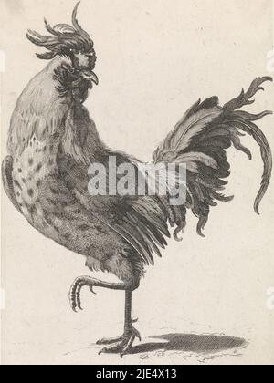 Rooster marchant à gauche, regardant à droite, imprimeur: Anonyme, anonyme, Johan Teyler, pays-Bas, 1688 - 1748, papier, gravure, h 240 mm × l 159 mm Banque D'Images