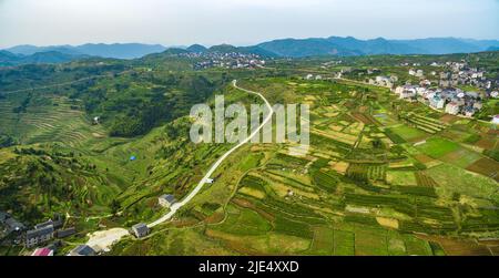 Linhai zhejiang taizhou LAN plantations de thé Tian Shan Banque D'Images