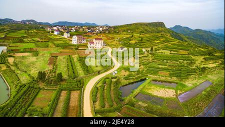 Linhai zhejiang taizhou LAN plantations de thé Tian Shan Banque D'Images