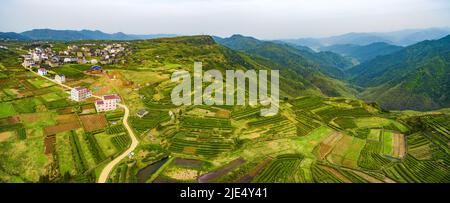 Linhai zhejiang taizhou LAN plantations de thé Tian Shan Banque D'Images