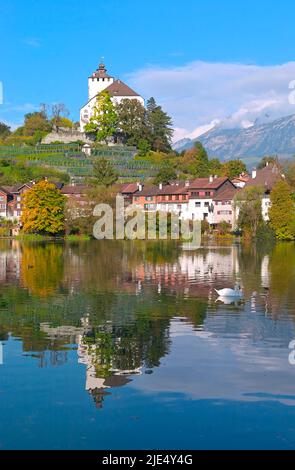 Lac pittoresque et château de Werdenberg à l'automne, saisit Rheintal CH Banque D'Images