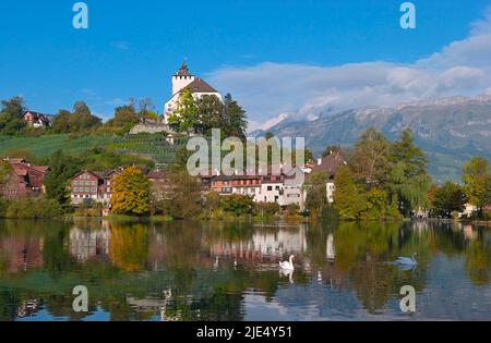 Lac pittoresque et château de Werdenberg à l'automne, saisit Rheintal CH Banque D'Images