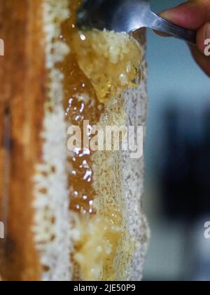 Le miel brut naturel étant filtré ad dripped à travers un tamis pour filtrer la cire de nos abeilles. Banque D'Images