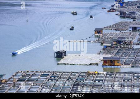 Lac Fujian kasumigaura trous dans le nord des bateaux de pêche surplombant Banque D'Images