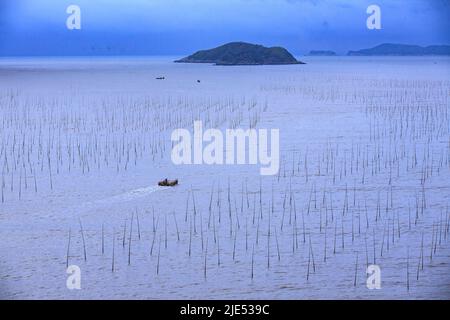 Lac Fujian kasumigaura trous dans le nord des bateaux de pêche surplombant Banque D'Images