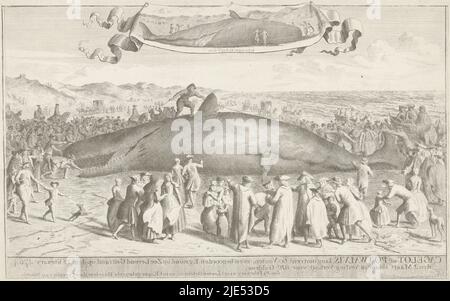 Un cachalot a échoué à Egmond aan Zee le 15 février 1764. Autour du corps de l'animal toronné il y a beaucoup de spectateurs, un homme a grimpé sur l'animal pour mesurer sa longueur avec une corde. Au sommet, une petite représentation du cachalot vu sur son dos. Situation enregistrée le 19 février par l'artiste. Contre-empreinte du deuxième état avec image miroir et textes, Salochalot échouée à Egmond aan Zee, 1764 Cagelot ou Salochalochalot, long autour de 60 pieds, juste au nord d'Egmond op Zee Live échouée sur la 15 Feriary 1764. Le 1 mars là à Auction Verkogt pour 810 florins néerlandais Banque D'Images