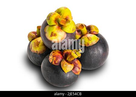 Pile de mangoustène isolée sur fond blanc avec masque. Le mangosteen est communément appelé Reine des fruits. Banque D'Images