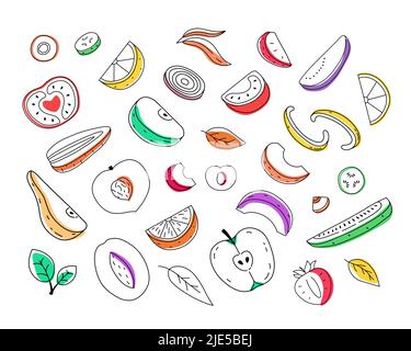 Ensemble de fruits et légumes coupés dessinés à la main. Illustration Doodle Illustration de Vecteur